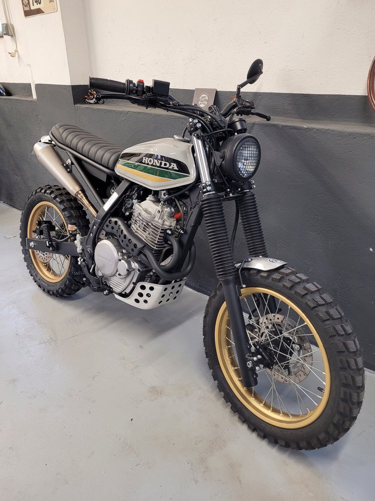 Illustration de Honda NX 650 Dominator